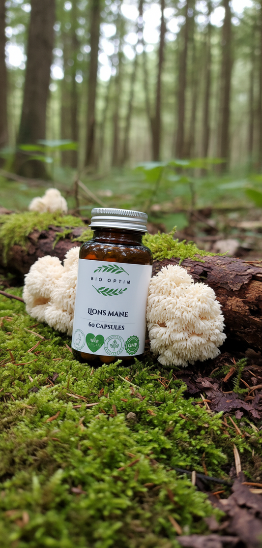 The benefits of Lions mane